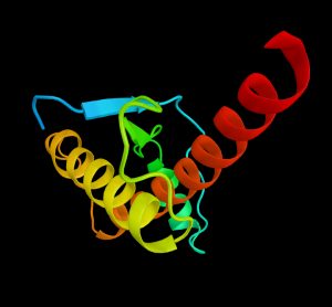Prion protein causing prion disease
