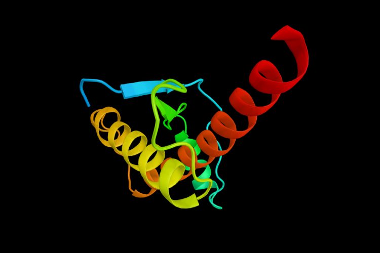 Prion protein causing prion disease