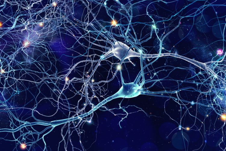 Glowing neurons on dark background