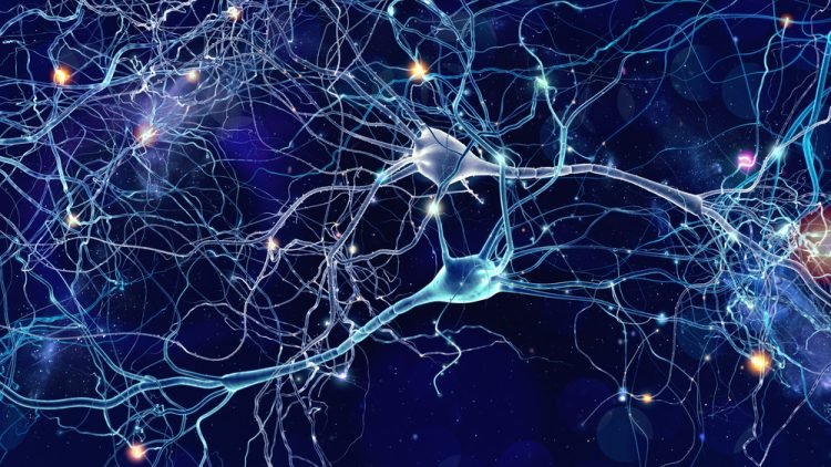 Glowing neurons on dark background