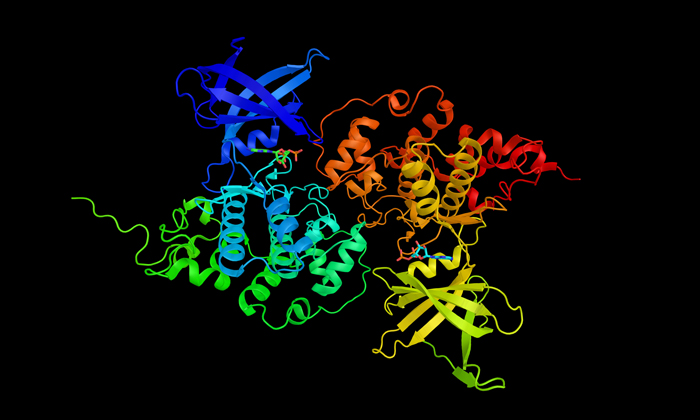 New Alzheimer’s animal model more closely mimics human disease