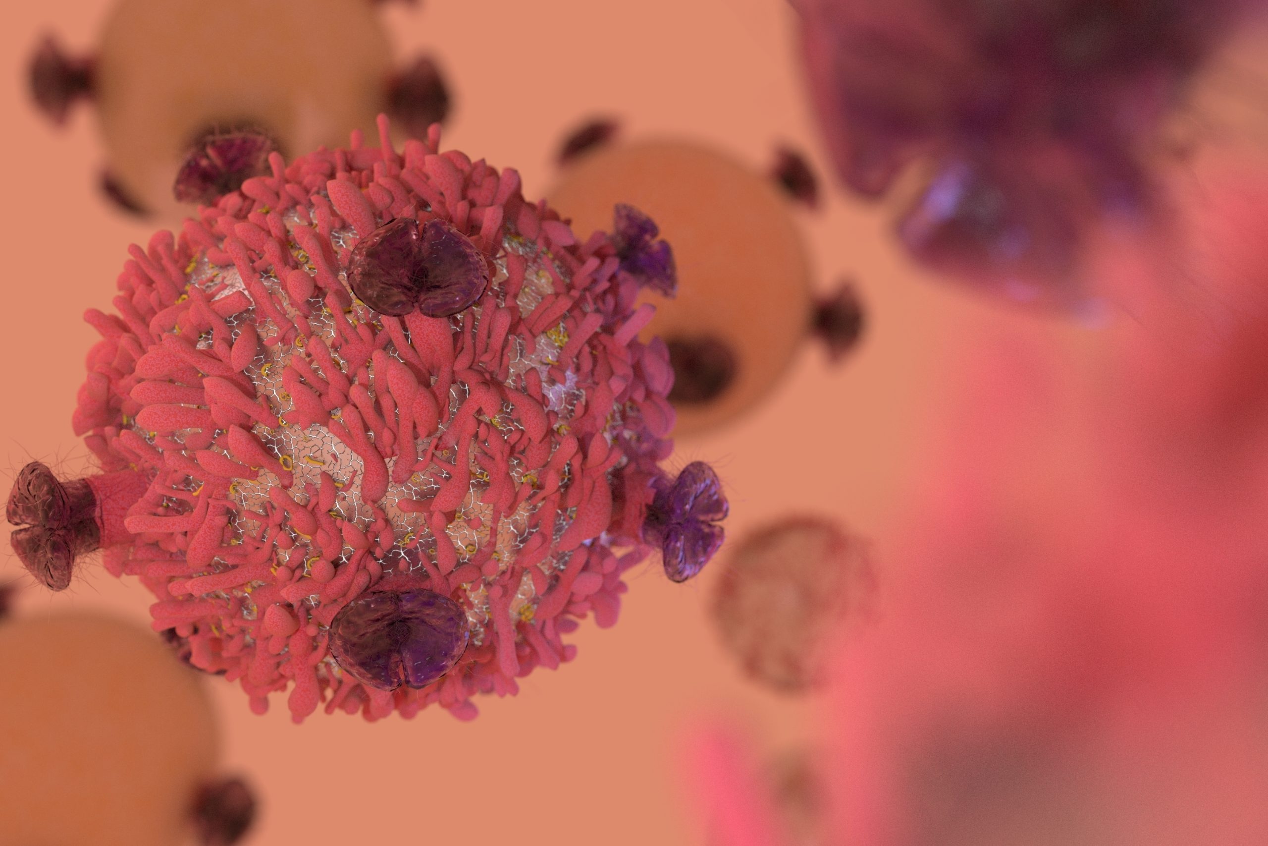 immuno-oncology