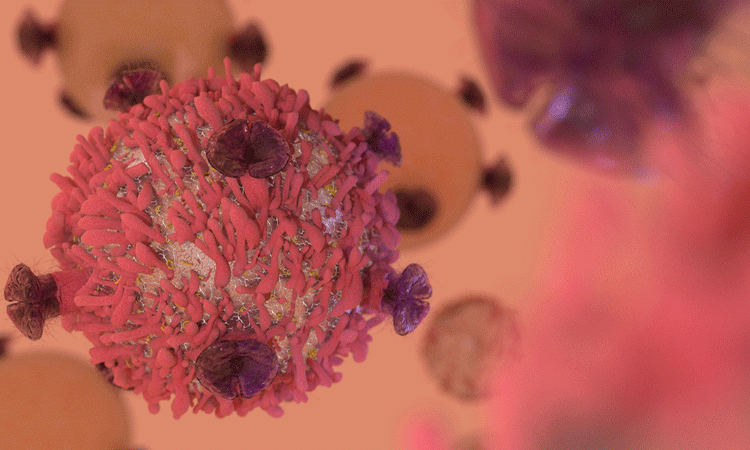 image representing immunotherapies