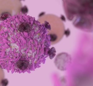 T cell lymphocyte with receptors to kill cancer cell in cancer i