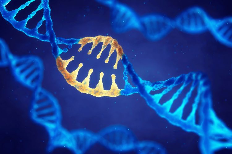 Blue DNA molecule with section highlighted in yellow