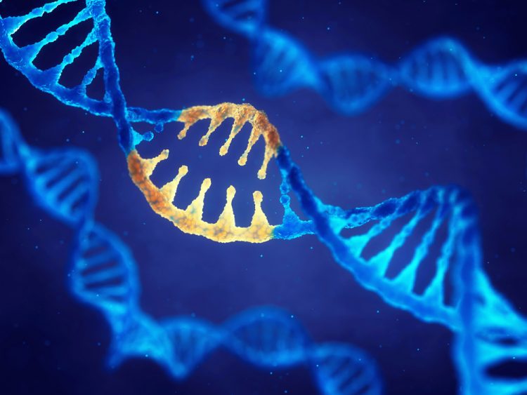 Blue DNA molecule with section highlighted in yellow