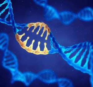 CRISPR