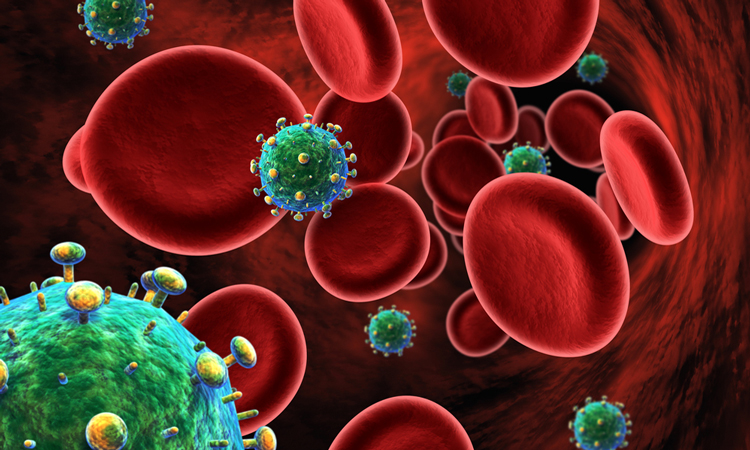 HIV in the bloodstream