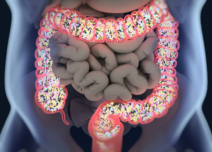 Gut microbiome