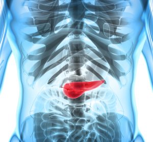 Pancreatic cancer: specific protein promotes development of pancreatitis and tumours