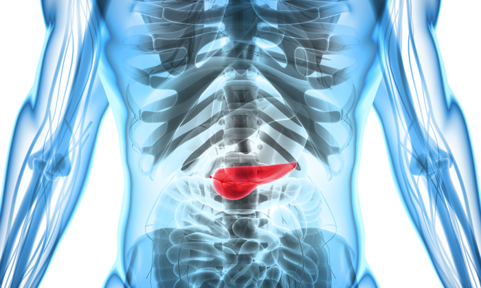 Pancreatic cancer: specific protein promotes development of pancreatitis and tumours