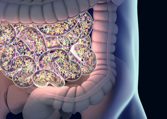 Precision editing of gut bacteria used to treat colitis