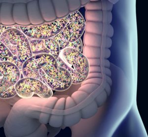 gut-microbiome