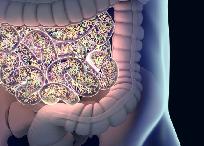 gut-microbiome