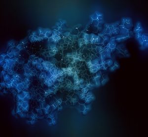 CD47 - immunotherapy