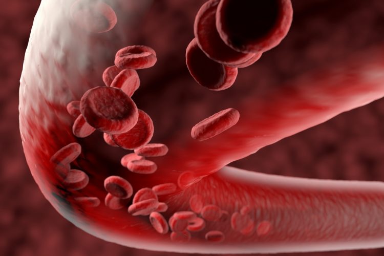 Blood vessel with flowing red blood cells inside