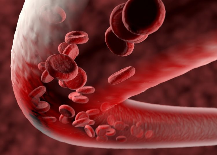 Blood vessel with flowing red blood cells inside