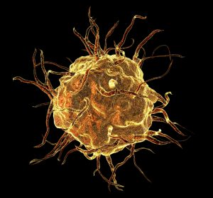 Macrophage on black background