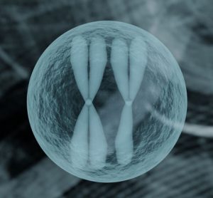 Genetic DJ: Growing cells remix their genes
