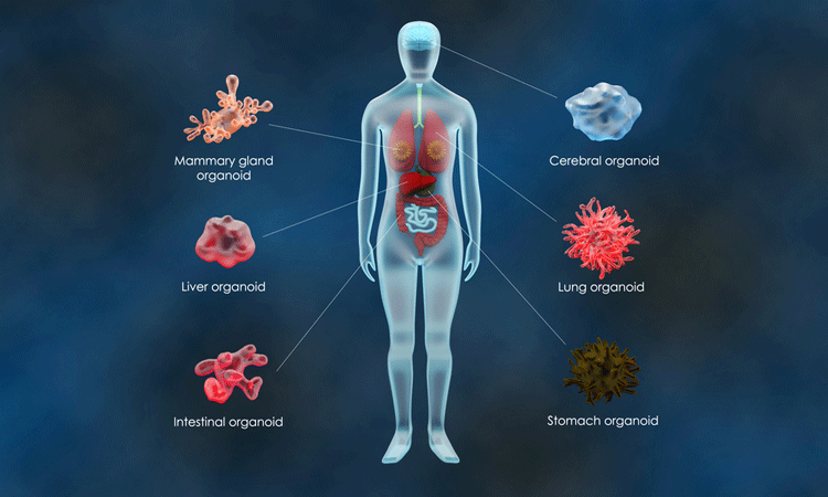 gene therapy pros and cons