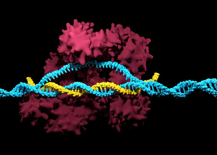 CRISPR-Cas9