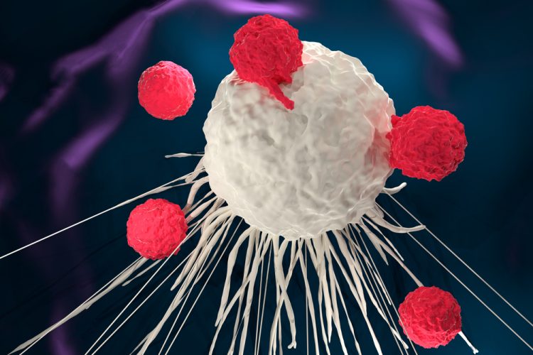 T cells attacking a cancer cell