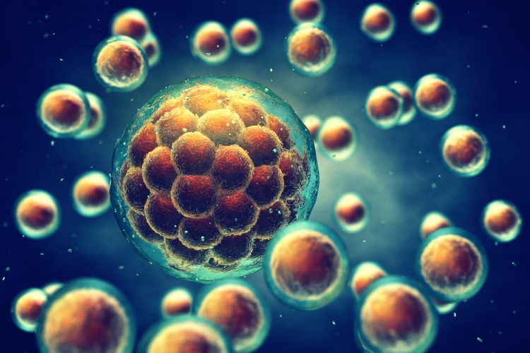 Regenerative medicine: enhance cell bioprocessing through cell
