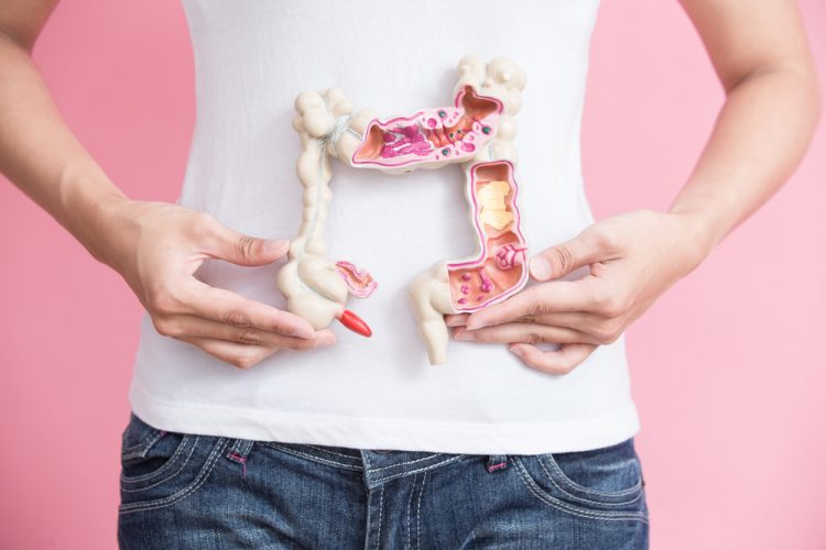 Woman holding colon model