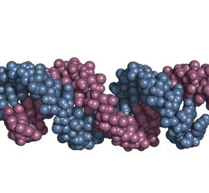 piRNAs-defend-the-genome