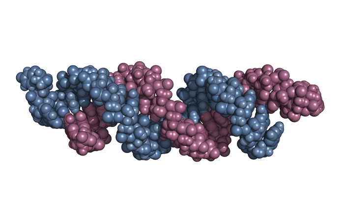 piRNAs-defend-the-genome