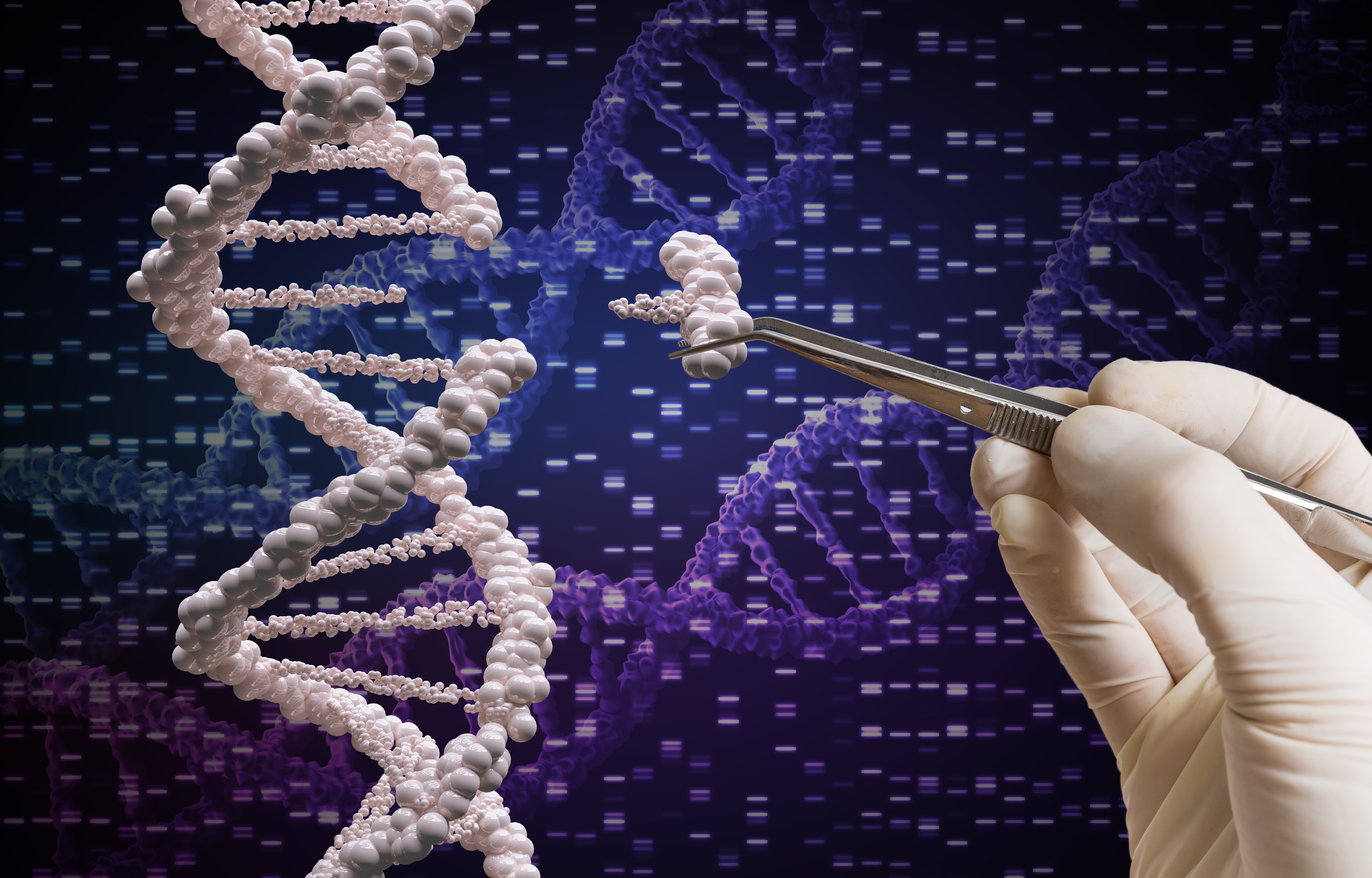 Пересадка днк. Генетика CRISPR. Технологии CRISPR редактирования генов. Молекулярные ножницы CRISPR/cas9. Генная инженерия CRISPR.