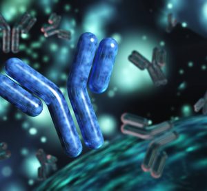 monoclonal antibodies