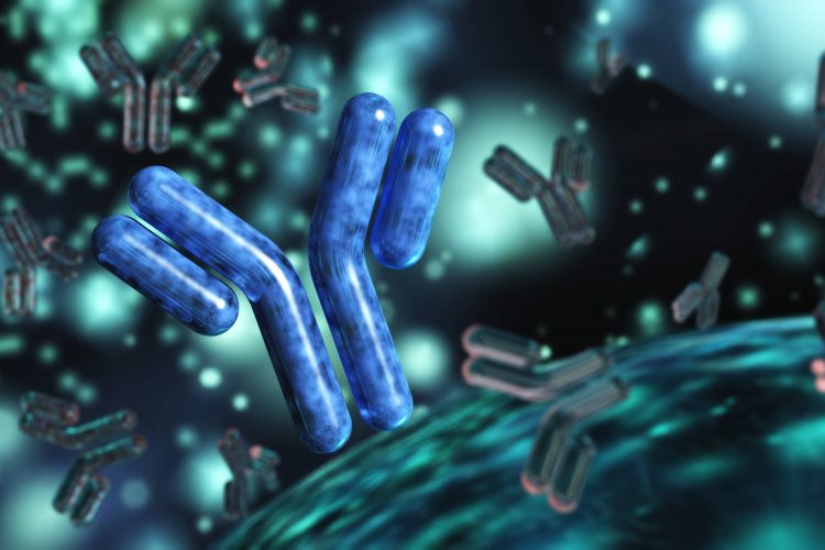 monoclonal antibodies