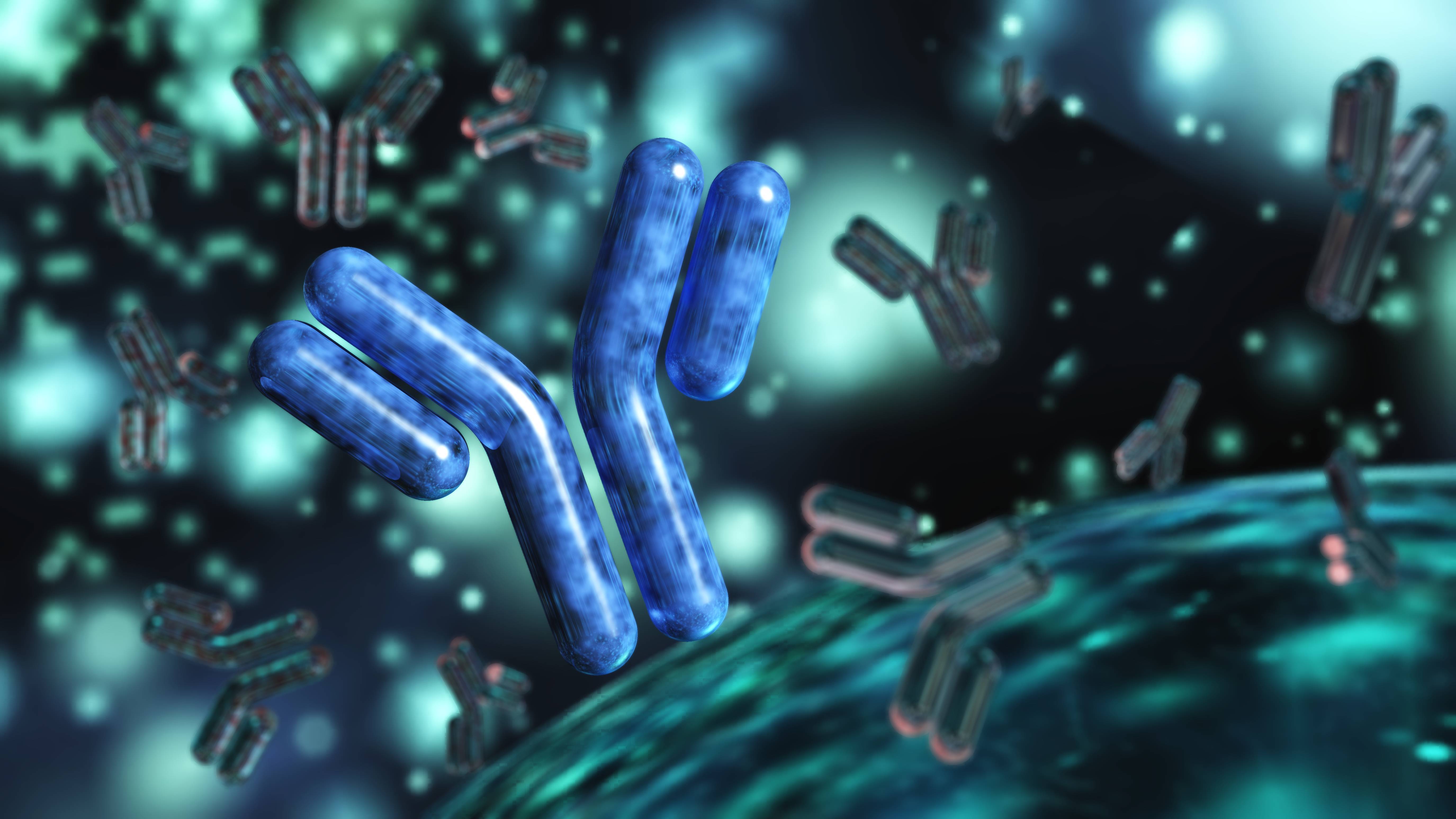 monoclonal antibodies