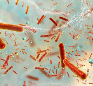 Antibiotic resistant bacteria in biofilm
