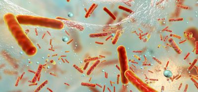 Antibiotic resistant bacteria in biofilm