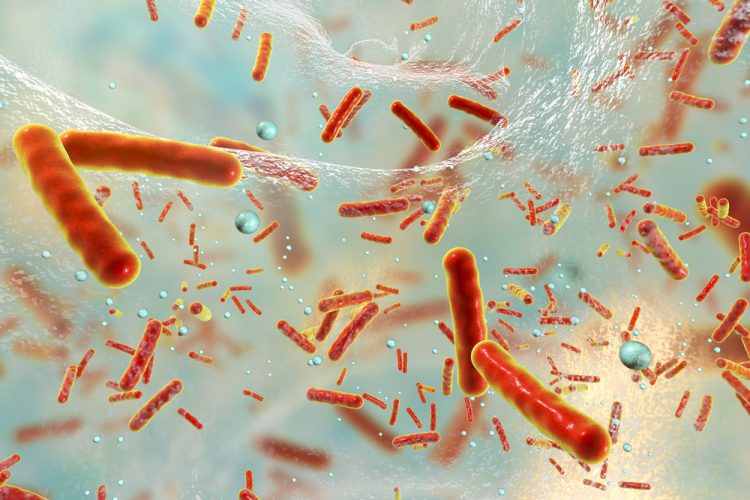 Antibiotic resistant bacteria in biofilm