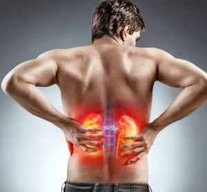 Man's back with kidneys highlighted in orange