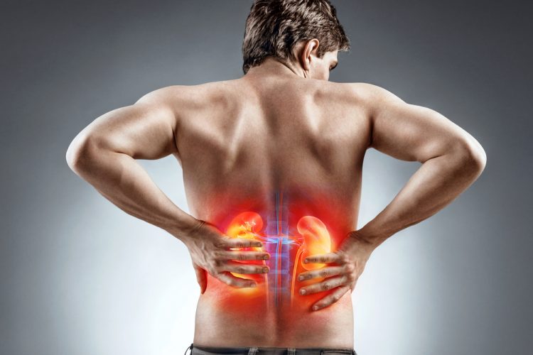 Man's back with kidneys highlighted in orange