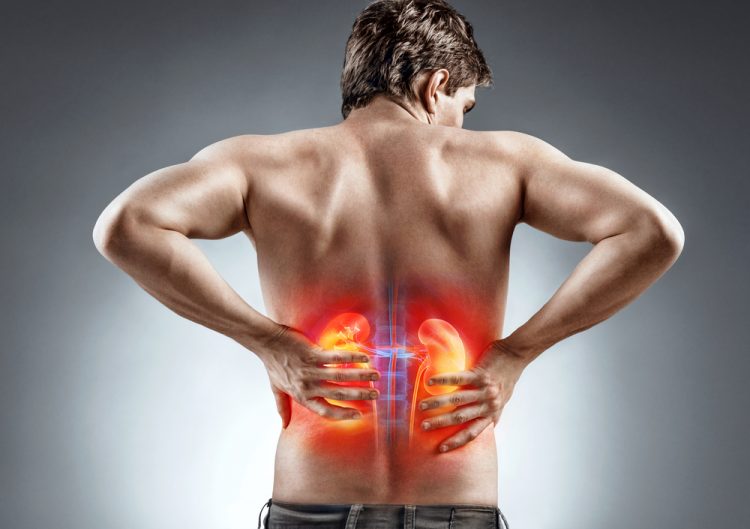 Man's back with kidneys highlighted in orange