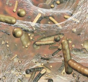 Antibiotics - biofilm and bacteria
