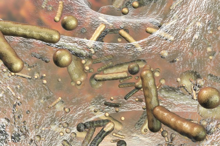 Antibiotics - biofilm and bacteria