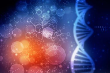 DNA and informatics