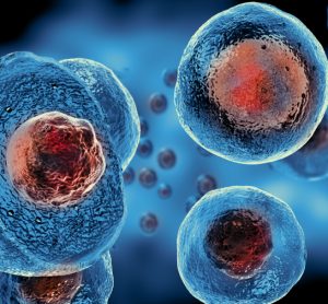 Elastic microspheres