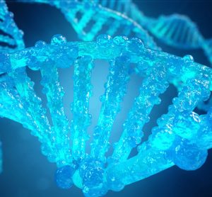 genome editing
