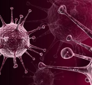 Hidden herpes virus may play key role in MS and other brain disorders
