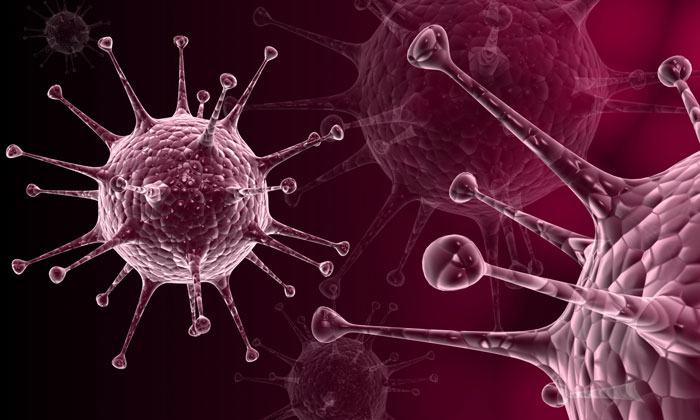 Hidden herpes virus may play key role in MS and other brain disorders