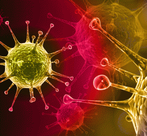 Herpesvirus