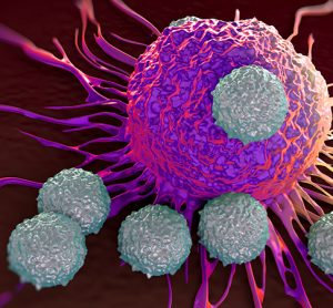 T-cells attacking cancer cell illustration of microscopic photos