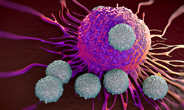 T-cells attacking cancer cell illustration of microscopic photos